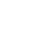 PDF-icon-white